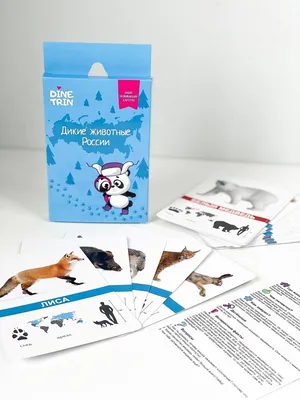 Dine Trin Набор развивающие карточки Дикие животные России. Интересные  факты, задания для детей учим животных