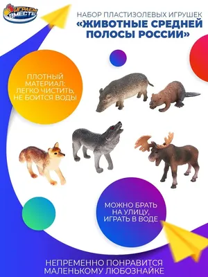Дикие животные России - Издательство Альфа-книга