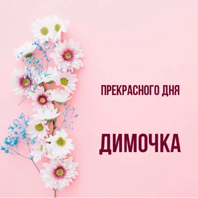 Кружка Димочка всегда прав - с днём рождения внутри | AliExpress