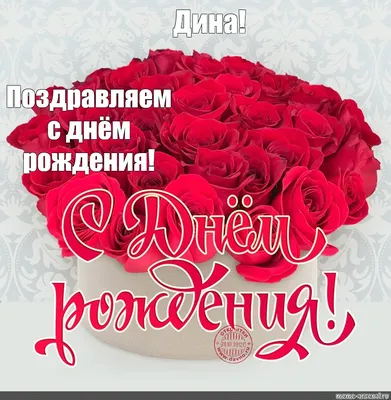 Дина! С днём рождения! Красивая открытка для Дины! Открытка с шикарным  букетом белых роз. Розы на блестящем фоне.