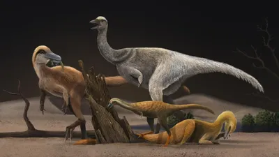 Набор динозавров, игрушки динозавры (тираннозавр, стегозавр, трицератопс) с  деревом, свет/звук/ходит 3 шт, в коробке - купить с доставкой по выгодным  ценам в интернет-магазине OZON (792135430)