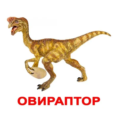Дино-шоу «Идеальный динозавр» 2023