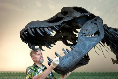 Фигурки «Динозавры» в ассортименте с бесплатной доставкой на дом из  «ВкусВилл» | Москва и вся Россия