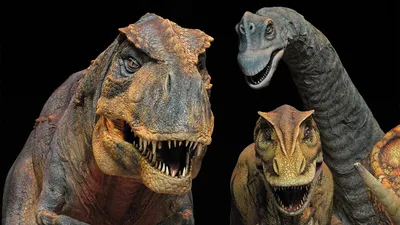 Среди хищных динозавров были каннибалы