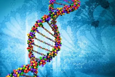 31 год назад была открыта уникальность ДНК — «генетические отпечатки» -  «Qazaqstan» Ұлттық телеарнасы
