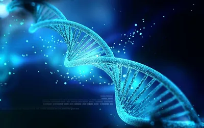 ДНК — все статьи и новости - Индикатор