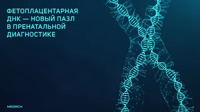 Пара из США после ДНК-теста узнала, что воспитывала сына от другого отца |  РБК Life