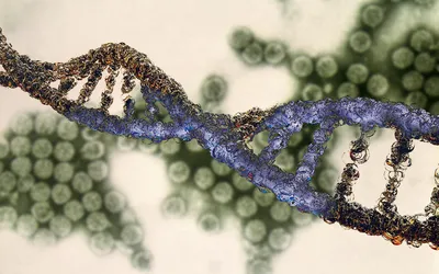 Нужно больше геномов: исследования ДНК становятся массовыми / Лента /  Альпина нон-фикшн