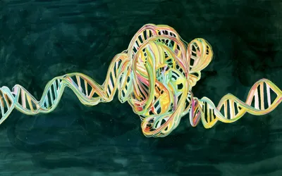 Модель структуры ДНК (разборная) | Лаборатории под ключ