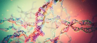 Сохранение ДНК | КриоРус