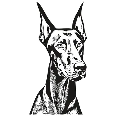 Доберман-пинчер собака черно-белый векторный логотип линии искусства  нарисованные вручную векторные иллюстрации домашних животных | Премиум  векторы