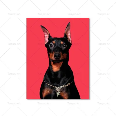 векторная иллюстрация собаки Doberman. книжный. глава домашнего животного.  татуировка. лазерный Иллюстрация вектора - иллюстрации насчитывающей  черный, предохранитель: 267407103