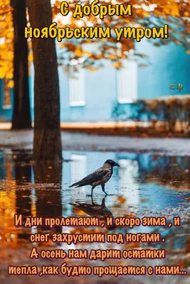 7dach - Доброе утро, друзья! Хорошего вам начала дня и удачной субботы! |  Facebook