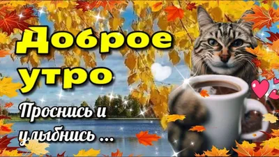 Доброе утро ноября - новые красивые открытки (47 ФОТО)