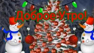 Good Coffee kg - Доброе новогоднее кофейное утро! ☕️🎄☀️ Кто-то продолжает  отдыхать, а мы уже все на местах и ждем Вас, ведь мы не виделись целый  год!😜☕️🎄 | Facebook