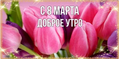 Нежность... Доброе Утро 8 марта. Сюрприз от Любимого - YouTube