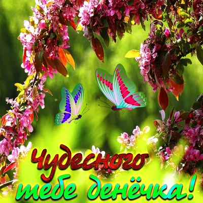 Создать мем \"бабочка красками, цветы, доброе утро бабочки\" - Картинки -  Meme-arsenal.com