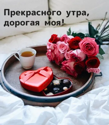 Доброе утро, любимая 🥰 ⠀ Покажи ей свою любовь. Цветы без повода –  идеальный вариант сказать «люблю». ⠀ 🌿ул. Б. Майлина 16/6 🌿+7 775 10… |  Instagram