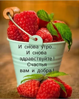 Идеи на тему «Доброе утро» (35) | доброе утро, открытки, счастливые картинки