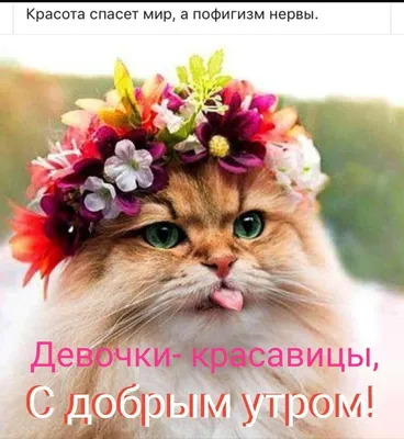 ♡♡♡Картинки(Доброе утро, спокойной ночи)♡♡♡ | ВКонтакте
