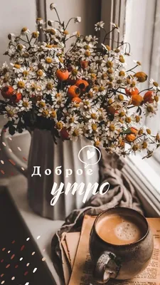 Пин от пользователя Светлана Толмачева на доске Доброе утро | Картины роз,  Красивые розы, Доброе утро
