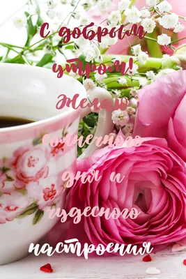 Картинка кофе и цветы для доброго утра - поздравляйте бесплатно на  otkritochka.net