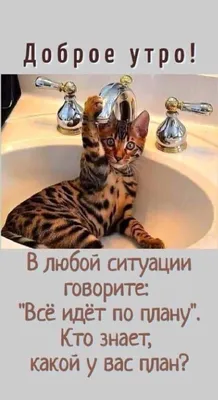 Юмор+жизнь - С добрым утром! 😃 | Facebook