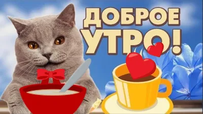 Доброе утро! кофе в кружке с …» — создано в Шедевруме