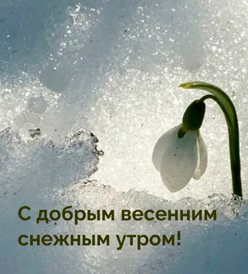 Доброе утро!!! Удачной недели!!! Хорошего настроения!!! | ВКонтакте
