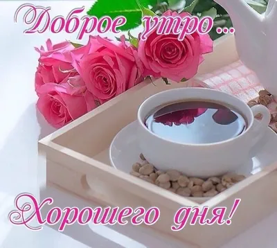 Доброе утро! 🌞 Отличного дня! 🌈 #доброеутро #утро #добрыйдень #счастья  #goodmorning #morning #day | ВКонтакте