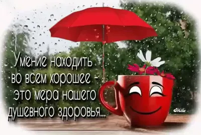 Доброе утро , друзья! Хорошей погоды в душе и за окном! 🌻🌼🌻🌼🌻  Поздравляем всех, у кого.. | ВКонтакте