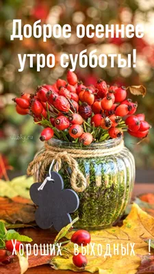 Доброе утро, Друзья!!! Хороших выходных ! | Instagram