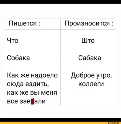 Открытка с именем Доброе утро Коллеги Хорошего дня картинки. Открытки на  каждый день с именами и пожеланиями.