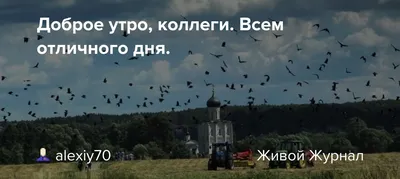 Доброе утро, коллеги...