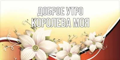 Открытки \"Доброго утра февраля!\" бесплатно (152 шт.)