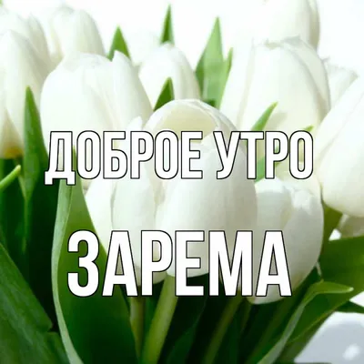 Доброе утро мои друзья!#любимый! | TikTok