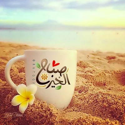 Untitled | Beautiful morning messages, Good morning arabic, Good night  sister