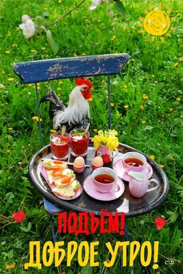ДОБРОЕ УТРЕЧКО! 🐔💐🥨☕🍩🌿🐓 ПОРА НА ДАЧУ! | Good morning breakfast, Good  morning coffee, Persian food