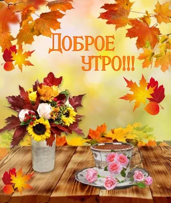 ДОБРОЕ УТРО, НОЯБРЬ! 🍁🍒🍫☕🍂🍎🍂☕🥧🍒🍁 Хорошего настроения в любую  погоду! ☔🦔❄ | Кофейные карточки, Открытки, Художественная роспись