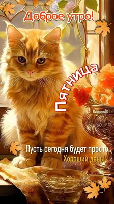 Доброе утро! Пятница. 🍁🌤️😺 | Счастливые картинки, Доброе утро, Веселые  картинки