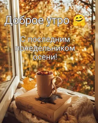 Понедельник! Доброе утро! | TikTok