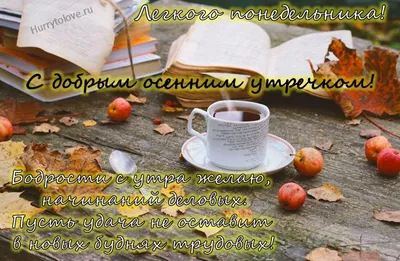 понедельникутро #спонедельником #понедельник #хорошегонастроения #при... |  TikTok