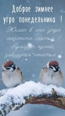 Позитивная открытка на утро понедельника с пожеланием удачной недели —  Скачайте на Davno.ru