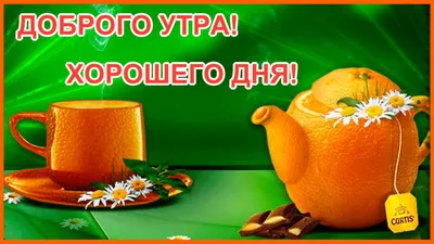 Добрейшего утра! Хорошего дня 🤗😊😜🌞🌞🌞🌈 #доброеутро #настроение  #позитив #gudmorning #мантра #аффирмации #юмор #кофе #завтрак | Instagram