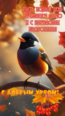 Картинка с птичками и ярким букетом на доброе утро - поздравляйте бесплатно  на otkritochka.net