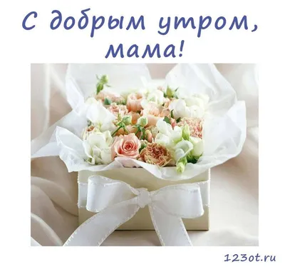 Доброе утро, мама Поздравительная открытка на День матери E Стоковое Фото -  изображение насчитывающей красивейшее, концепция: 145493706