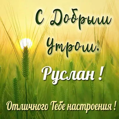 Руслан Дудников: Доброго субботнего дня и прекрасного настроения! - Лента  новостей ДНР