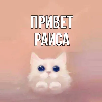 Руслан Дудников: C добрым утром! Пусть ваше утро начнется бодро и  энергично! - Лента новостей ДНР