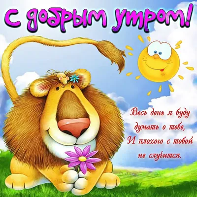 Доброе утро! Хорошего дня!🤗 | Богиня с юмором | ВКонтакте