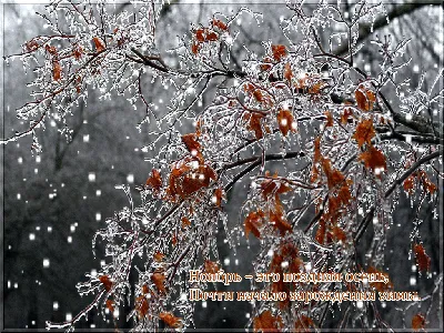 снег утро｜Búsqueda de TikTok